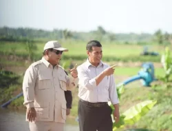 Prabowo Akui Dirinya yang Usulkan Amran Jadi Menteri Pertanian di Era Jokowi