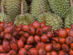 Hindari Jenis Buah-buahan Ini Saat Buka Puasa, Pakar Gizi Beri Penjelasan