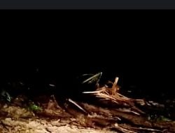 Longsor di Luwu Timur Tutup Akses Jalan Penghubung Sulsel – Sulteng