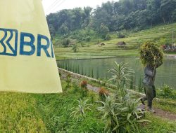 Konsisten Terapkan Prinsip ESG untuk Bisnis Berkelanjutan, BRI Raih 2 Penghargaan Internasional dari The Asset Triple A