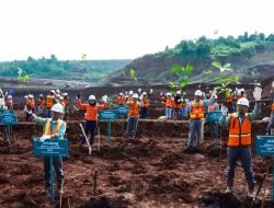 Dari Morowali untuk Bumi: PT Vale IGP Tanam Harapan Lewat Reklamasi Sejak Langkah Pertama