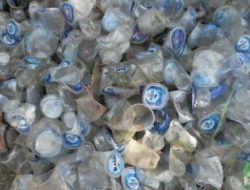 Sampah Aqua Gelas Capai 10 Ribu Lebih, Danone Dikecam Aktivis Lingkungan
