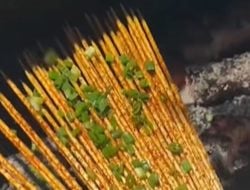 Unik, Sate Tanpa Daging Ini Jadi Primadona Baru di China