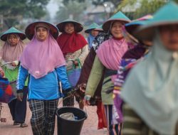 Berdayakan 14,4 Juta Pengusaha Wanita, Holding Ultra Mikro BRI Tegaskan Komitmen Ciptakan Ekonomi Inklusif dan Kesetaraan Gender di Hari Kartini