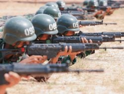 Perlukah TNI Turun Gunung Tangani Ormas Pengganggu Investasi?