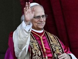 4 Fakta Tentang Paus, Salah Satunya Tidak Boleh Donor Organ