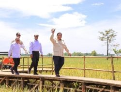 Presiden Prabowo: Tidak Ada Lagi Impor Beras!