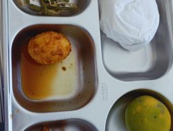 Makanan Bergizi Gratis Terpapar Bakteri Berbahaya E.coli dan Salmonella dari Telur Ceplok dan Tumis Tahu Toge
