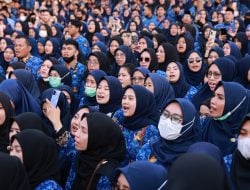 Bocoran BKN, Kemungkinan Honorer Tak Lulus PPPK Tahap 1 Masuk Optimalisasi Tahap 2