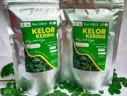 Manfaatkan KUR BRI, Pengusaha Wanita Ini Berhasil Sulap Kelor Jadi Aneka Olahan Pangan yang Digemari