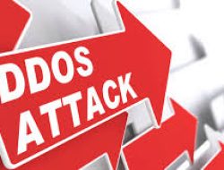 Warga Italia Berusia 22 Tahun Ditangkap di Bali Atas Dugaan Terlibat dalam Operasi DDoS Bayaran