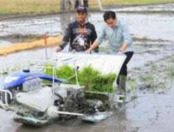 Viral Wapres Gibran Coba Alat Tanam Padi di Ngawi, tapi Menanamnya Maju hingga Tanaman Terinjak