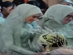 Interaksi Manis Mulan Jameela dan Alyssa Daguise Bikin Meleleh