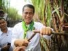 Mentan Bilang Hilirisasi Pertanian Bisa Bikin Rupiah Menguat hingga Rp1.000 per USD, Yusuf Dumdum: Wow
