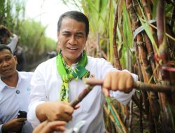 Catat! Ini Skema KUR Terbaru Bagi Petani Tebu