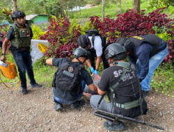 KKB Pimpinan Egianus Kogoya Diduga Tembak Dua Pekerja Bangunan di Jayawijaya