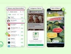 WhatsApp Perkenalkan Tiga Fitur Baru, Bagaimana Privasi Pengguna dengan Kehadiran Iklan?