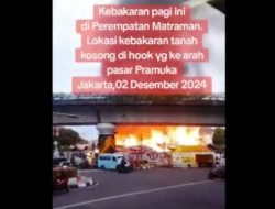 Hendri Satrio Desak Klarifikasi UGM soal Dugaan Ijazah Jokowi Dicetak di Pasar Pramuka