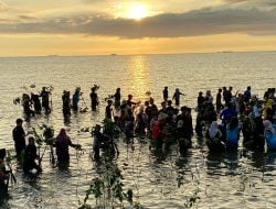 Berkolaborasi Menjaga Pesisir Sulawesi Selatan: 10 Ribu Mangrove Ditanam di Binanga Sangkara