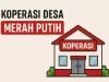 Kopdes Merah Putih Bakal Pekerjakan Ratusan Ribu PPPK, Menko Zulhas Beber Alasannya