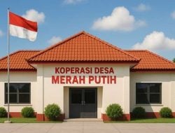 160 Guru Sekolah Rakyat Mundur, Palti Hutabarat: Akan Jadi Bom Waktu untuk Koperasi Merah Putih
