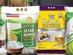 Wilmar Group Diperiksa Kasus Beras Oplosan, Pakar Hukum Beri Catatan Tajam