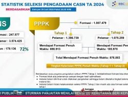 Masih Banyak Kuota Formasi CPNS dan PPPK Tahun 2024 yang Tidak Terisi