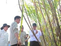 Wapres Gibran Dorong Pemanfaatan Drone untuk Budidaya Tebu