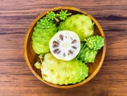Mengkudu: Buah Pahit dengan Segudang Khasiat