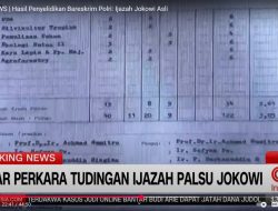 Dokter Tifa Bilang Transkrip Nilai Ijazah Jokowi Seperti Produksi Universitas Ruko: yang Benar Saja