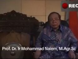 Peserta Reuni UGM Ala Jokowi Sebut Tidak Ada Jurusan di Fakultas Kehutanan, Dokter Tifa: Artinya Ada Dua Tokoh yang Melakukan Kebohongan…