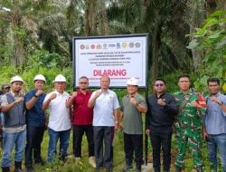 Masuk Kawasan Hutan, Lahan Sawit Anak Usaha Astra Agro Lestari Seluas 861,7 Hektare Disita Negara