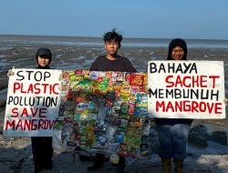 Mangrove Wonorejo Terjerat Sampah Plastik 800 Kilogram, Aktivis Lingkungan: Pantai Timur Surabaya Butuh Pagar Laut