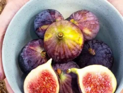 6 Manfaat Buah Tin untuk Kesehatan, Salah Satunya Cegah Kanker