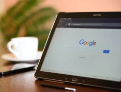 Update Algoritma Google Juni 2025: Mengapa Trafik Google Discover Turun Drastis?
