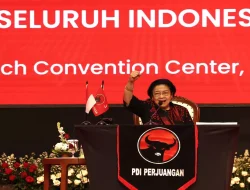 Bu Mega Sedih Hasto Dapat Amnesti Presiden Prabowo, Kok Bisa?