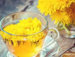 3 Manfaat Teh Dandelion untuk Kesehatan