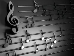 Ganti Lagu dengan Suara Burung, Tetap Kena Royalti